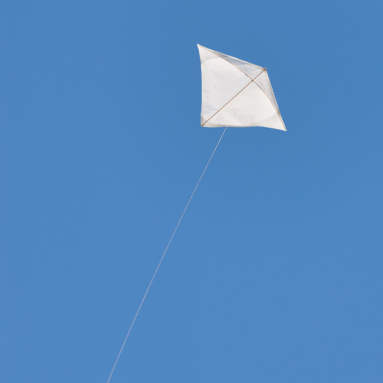 single line kites